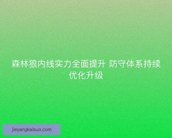 森林狼内线实力全面提升 防守体系持续优化升级